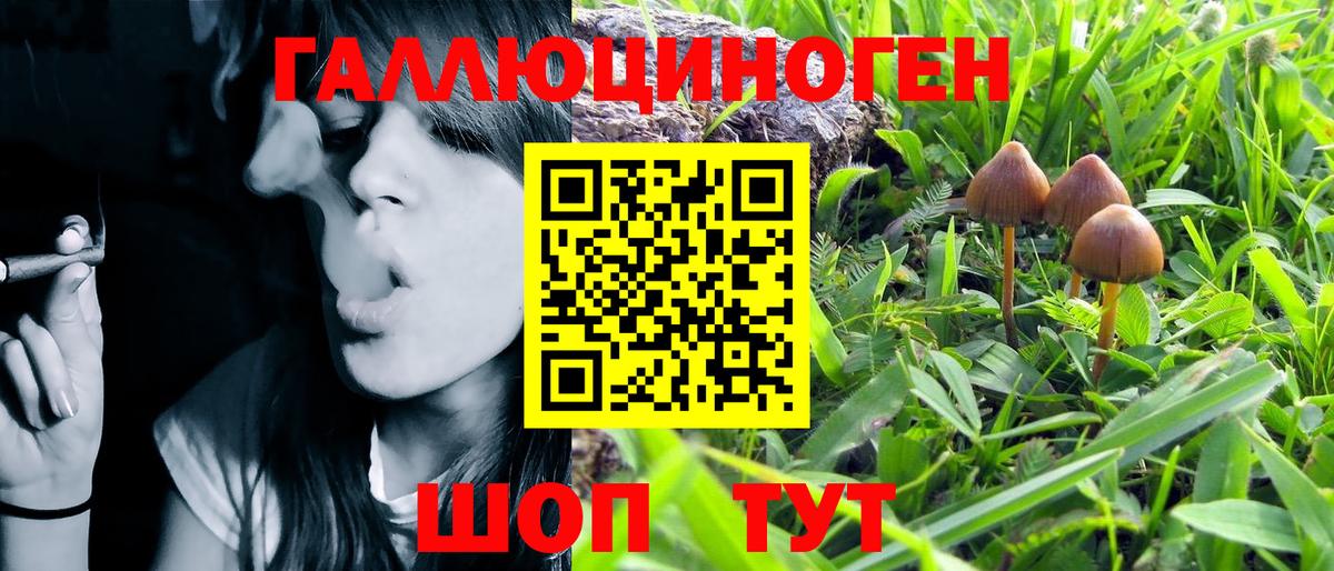 Псилоцибиновые грибы MAGIC MUSHROOMS  Вход с VPN  Галлюциногенные грибы MAGIC MUSHROOMS  Белово 
